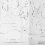 Armant Concession.jpg